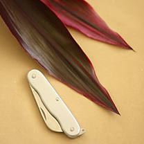 Yuuki Shirota ��c�L�I Flower Design